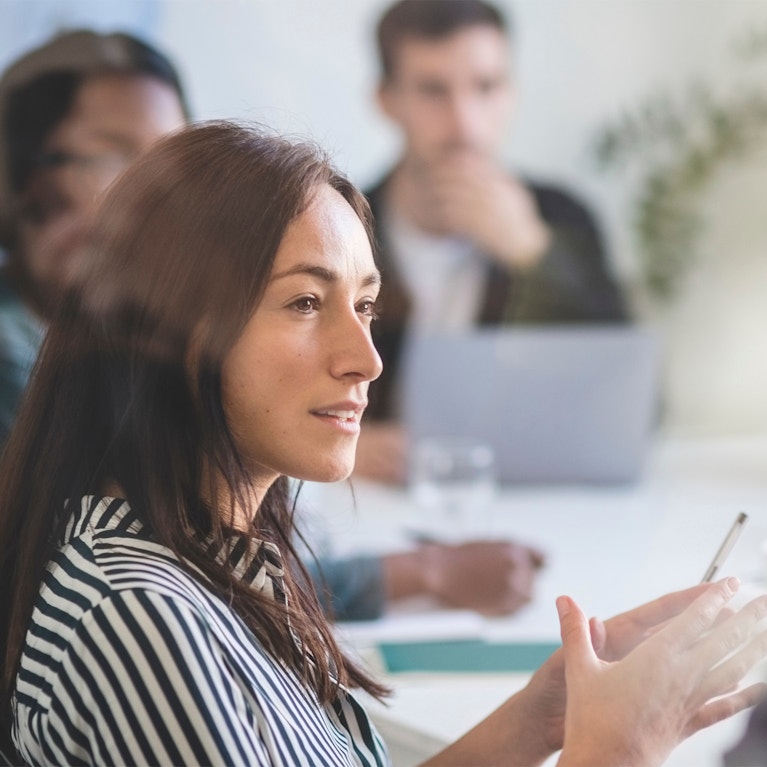 Business professionals in meeting